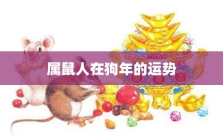 属鼠人在狗年的运势展望