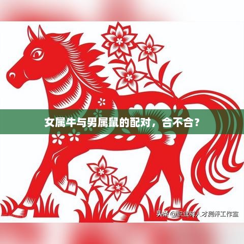 女属牛与男属鼠的配对分析，爱情契合度探讨