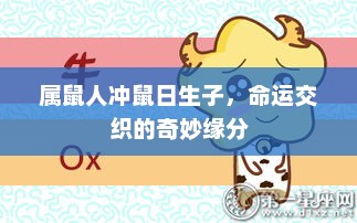 属鼠人生子日，命运交织的奇妙缘分
