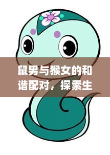 鼠男猴女和谐配对，探索生肖相合的奥秘与魅力