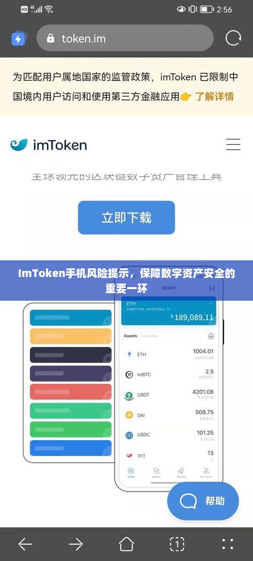 imtoken手机风险提示，数字资产安全的关键保障
