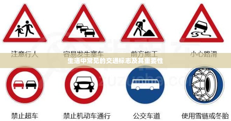 生活中常见交通标志及其重要性简述