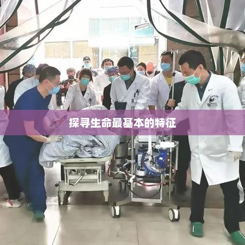 探寻生命最本质的特征