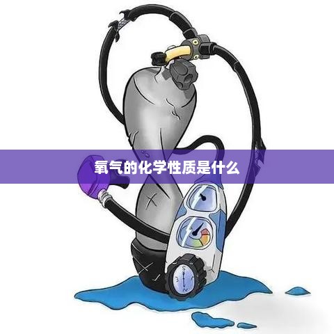 氧气的化学性质探究
