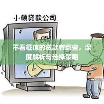 深度解析，无视征信的贷款类型与选择策略