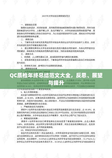 QC质检年终总结反思与展望，提升质量监控水平，展望未来发展