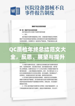 QC质检年终总结反思与展望，提升质量监控水平，展望未来发展