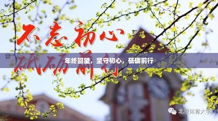 年终回望，坚守初心，砥砺前行，共创未来辉煌之路