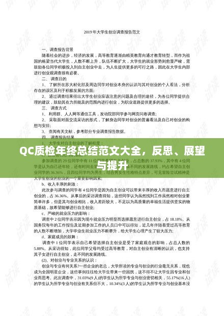 QC质检年终总结反思与展望，提升质量监控水平，展望未来发展