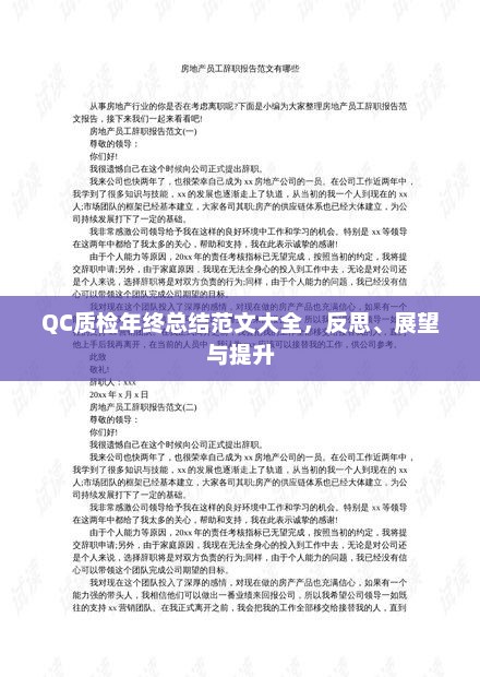 QC质检年终总结反思与展望，提升质量监控水平，展望未来发展