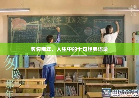 匆匆那年，人生感悟的十句经典语录回顾