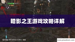 暗影之王游戏攻略大全，助你轻松通关！