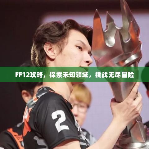 FF12攻略，探索未知领域，勇闯无尽冒险之旅