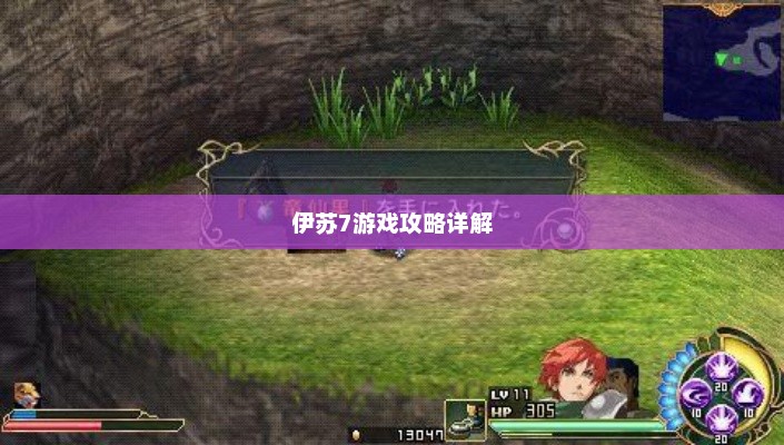 伊苏7游戏攻略大全，从入门到精通