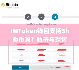 IMToken钱包是否支持Shib币，深度解析与探讨