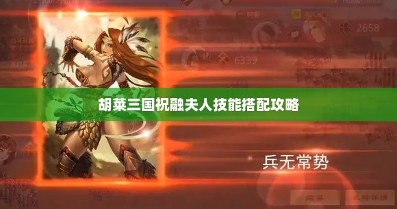 胡莱三国，祝融夫人技能搭配指南