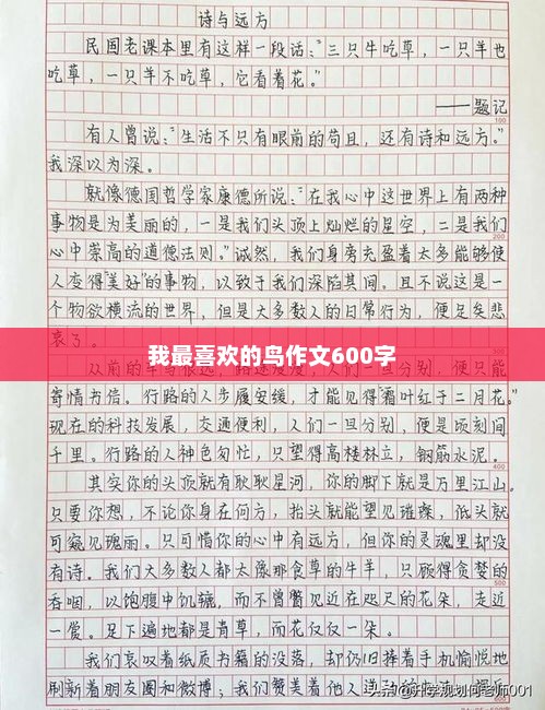 飞翔的魅力，我钟爱的鸟类