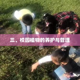 校园植物养护与管理新策略