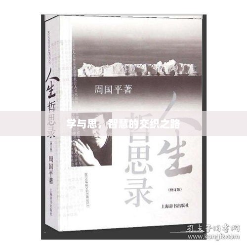 探索学与思的智慧交织之路