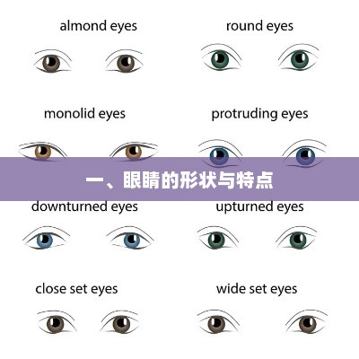 眼睛形状与特点解析