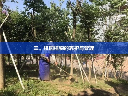 校园植物养护与管理新策略