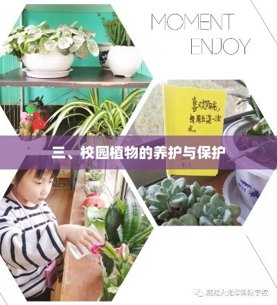 校园植物养护与保护策略