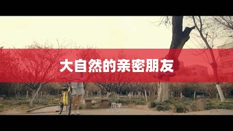 大自然的亲密朋友