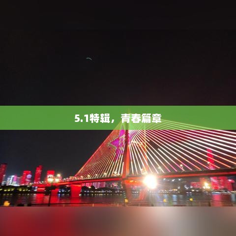 青春五载，热血篇章