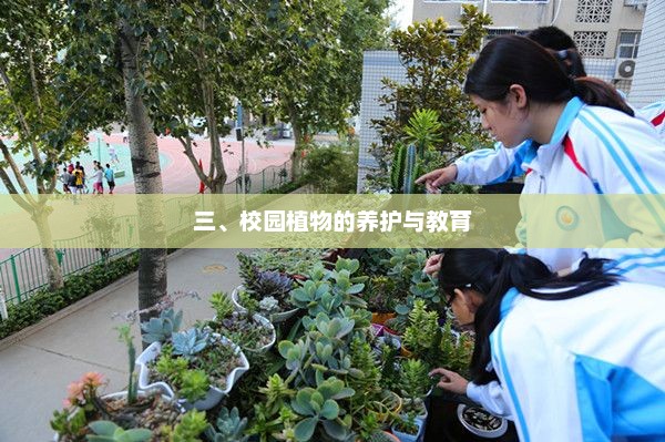 校园植物养护与教育，培养绿色生态意识