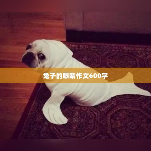 兔子的眼睛作文600字