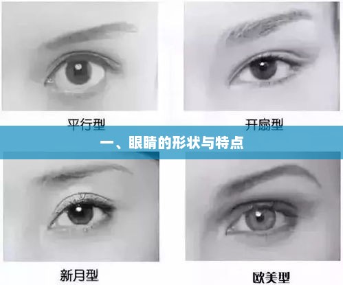 眼睛形状与特点分析
