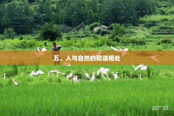 人与自然和谐共处之道