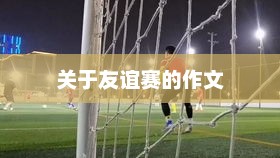 友谊赛中的激情与成长