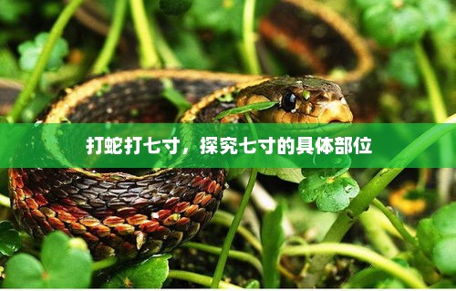 蛇猎七寸部位探究