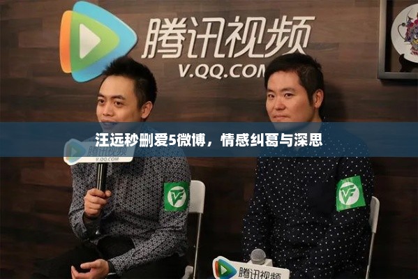 汪远秒删爱5微博，情感纠葛与深思