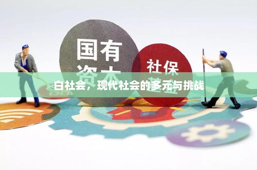 白社会，现代社会的多元与挑战，白社会，多元与挑战并存的时代
