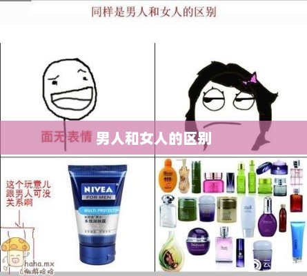 男人和女人的区别