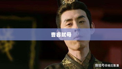 曹睿弑母，曹睿弑母事件