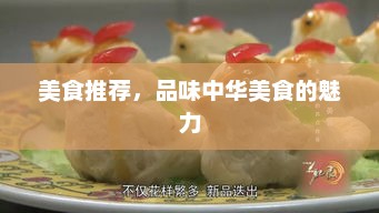 美食推荐，品味中华美食的魅力，中华美食魅力之旅，品味特色美食推荐