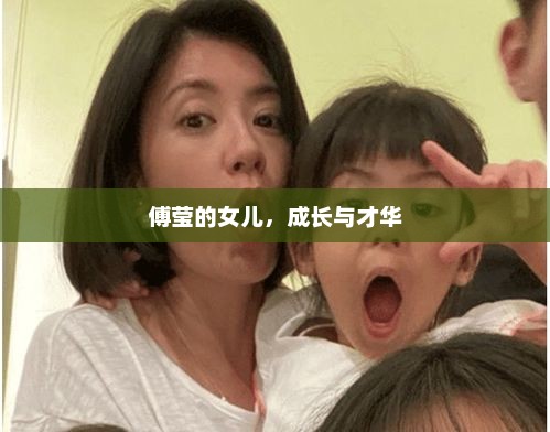 傅莹的女儿，成长与才华，傅莹女儿才华出众