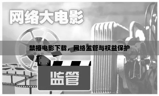 禁播电影下载,网络监管与权益保护 禁播电影下载,网络监管与权益保护