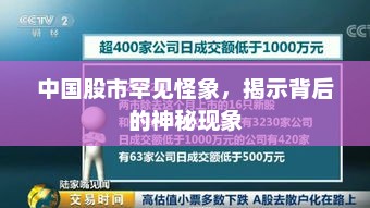 中国股市罕见怪象，揭示背后的神秘现象，中国股市神秘怪象揭秘