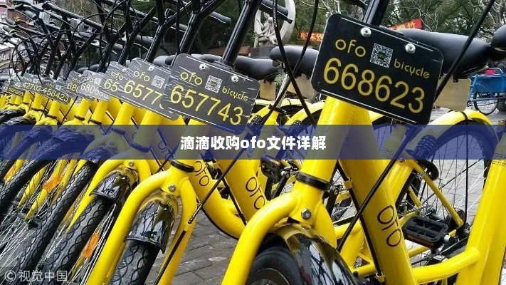 滴滴收购ofo文件详解，滴滴收购ofo文件详解，资本运作与市场前景