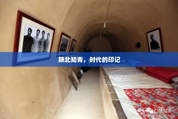 陕北知青，时代的印记，陕北知青，时代的印记