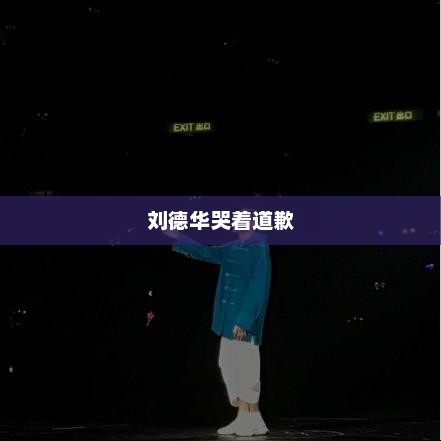 刘德华哭着道歉，刘德华道歉事件