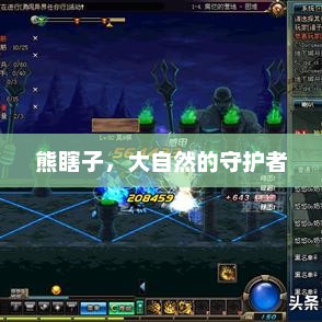 熊瞎子，大自然的守护者，熊瞎子，大自然的守护者标题