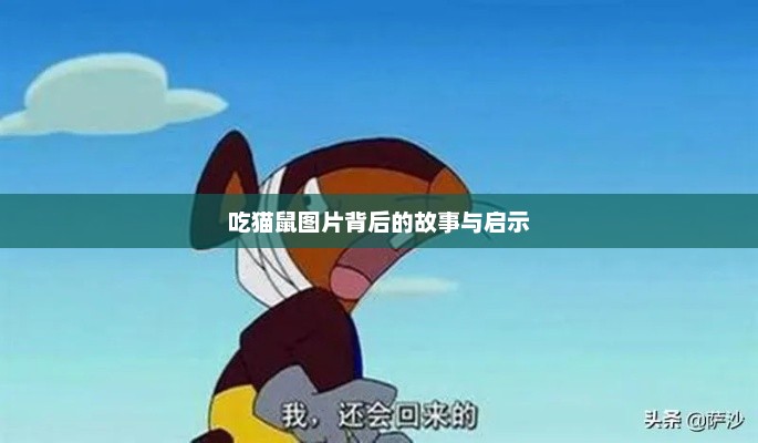 吃猫鼠图片背后的故事与启示，吃猫鼠背后的故事与启示