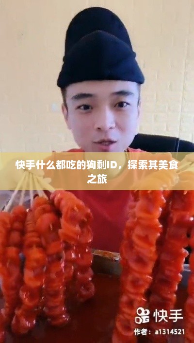 快手什么都吃的狗剩ID，探索其美食之旅，狗剩快手美食之旅，探索各种美食