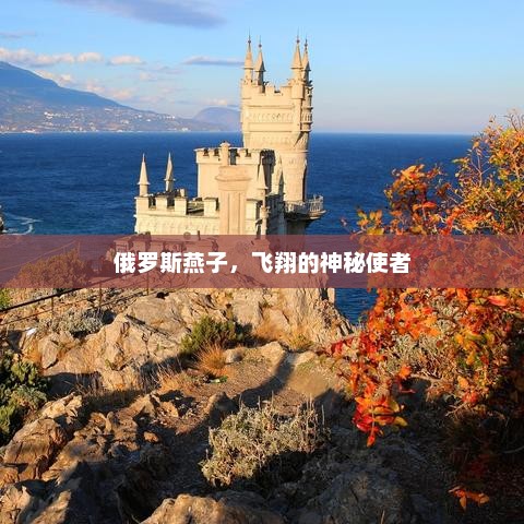 俄罗斯燕子，飞翔的神秘使者，俄罗斯燕子，神秘的飞翔使者