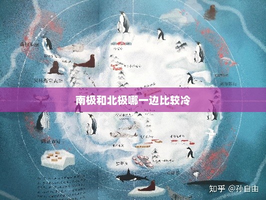 南极和北极哪一边比较冷，南极更冷